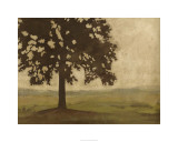 Shenandoah Vista I