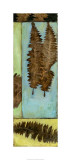 Fossilized Ferns I