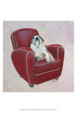 Bulldog on Red