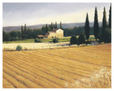 Golden Fields and Cypress
