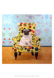 Pug-a-dots