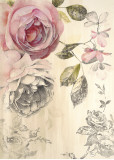 Ethereal Roses II