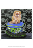 Pomeranian Pillows