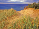 Sand Dunes Along Lake Superior at Pictured Rocks National Seashore  Grand Marais  Michigan  USA