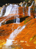 Waterfall Along North Creek  Zion National Park  Utah  USA