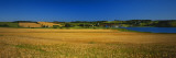 View of Field  Prince Edward Island  Canada