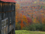 Barn Near Lush Hill  North Landgrove  Green Mountains  Vermont  USA
