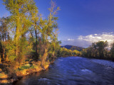 The Gallatin River Near Bozeman  Montana  USA