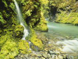 Waterfall Near Graves Creek  Olympic National Park  Washington  USA