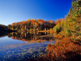 Pond in the Chaquamegon National Forest  Cable  Wisconsin  USA