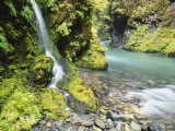 Seasonal Waterfall Near Graves Creek  Olympic National Park  Washington  USA