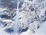 Multnomah Falls in Snow Covered Forest  Columbia Gorge National Scenics Area  Oregon  USA
