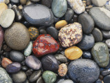Wet Pebbles  Ruby Beach  Olympic National Park  Washington  Usa Coast