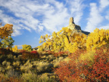 View of Gunnison Butte  Utah  USA