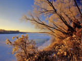 Winter on the Yellowstone River Near Cartwright  North Dakota  USA