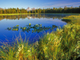 Index Peak Reflects into Mud Lake on the Beartooth Plateau  Wyoming  USA