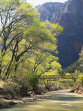 Bridge across River with Mountains in Background  Virgin River  Zion National Park  Utah  USA