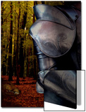 The Fox Hunts the Knight in Armor in the Forest