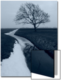 Landscape Photograph  a Winter Scenery in Spanbroek  the Netherlands
