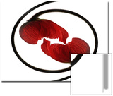 Entwined Poppy Flowers