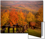 Autumn Scenery with Horses Grazing and Corral  Germany