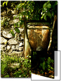 Still Life Composition in Nature with Wheelbarrow