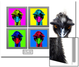 Staring Emus