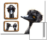 Emu Memories