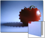 Mutated Red Tomato on Blue Background
