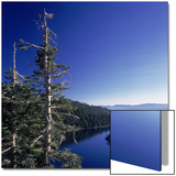 Fannette Island in Emerald Bay with Sugar Pine  Emerald Bay State Park  Lake Tahoe  California