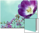 Flowers Floating in Water