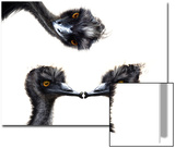 Kissing Emus