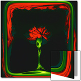 Red Carnation Formalized in a Frame