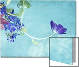 Flower Bouquet Floating in Water