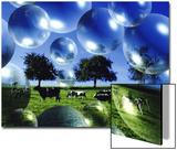 Bubble Pasture  Bergisch Land  Germany
