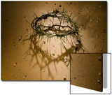 Crown of Thorns with Large Shadow and Pieces of Rock