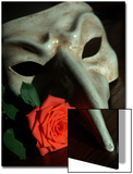 Still Life Photograph  a Traditional Venetian Mask with a Rose