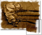 Old Roses
