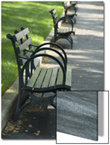 Park Benches Lined Up in a Row