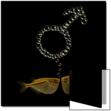 Two Tetra Fish Bubble Blow the Male Symbol