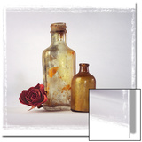 Still Life of a Dry Rose and Bottles