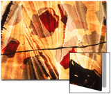 Abstract Image in Red and Yellow