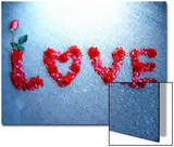 Rose Protrudes from Rose Petal Message