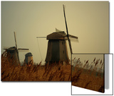 Moody Landcsape Windmills in the Netherlands