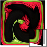 Red Carnation Distorted in a Frame
