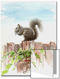 Squirrel Sitting on the Fence Above a Pot of Ivy