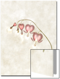 Still Life of Flowers