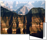 North Rim  Grand Canyon  Arizona  USA