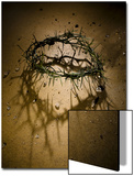 Crown of Thorns with Large Shadow and Pieces of Rock