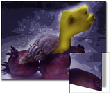 Human Form Emerging from Shell